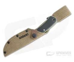 Gerber Downwind Drop Point Stainless Steel Sage Green GFN G10 Fixed Fixed Blade Knife 30-001818 -Camping Knives best sale 30 001818 2